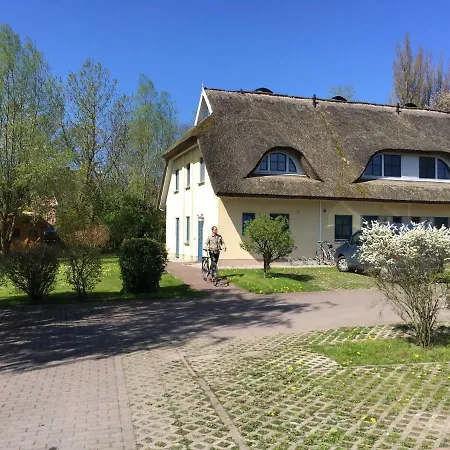 Reetdachhaus Holunder 4